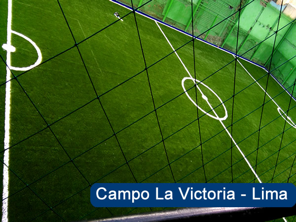 World-Grass-Peru-img-2