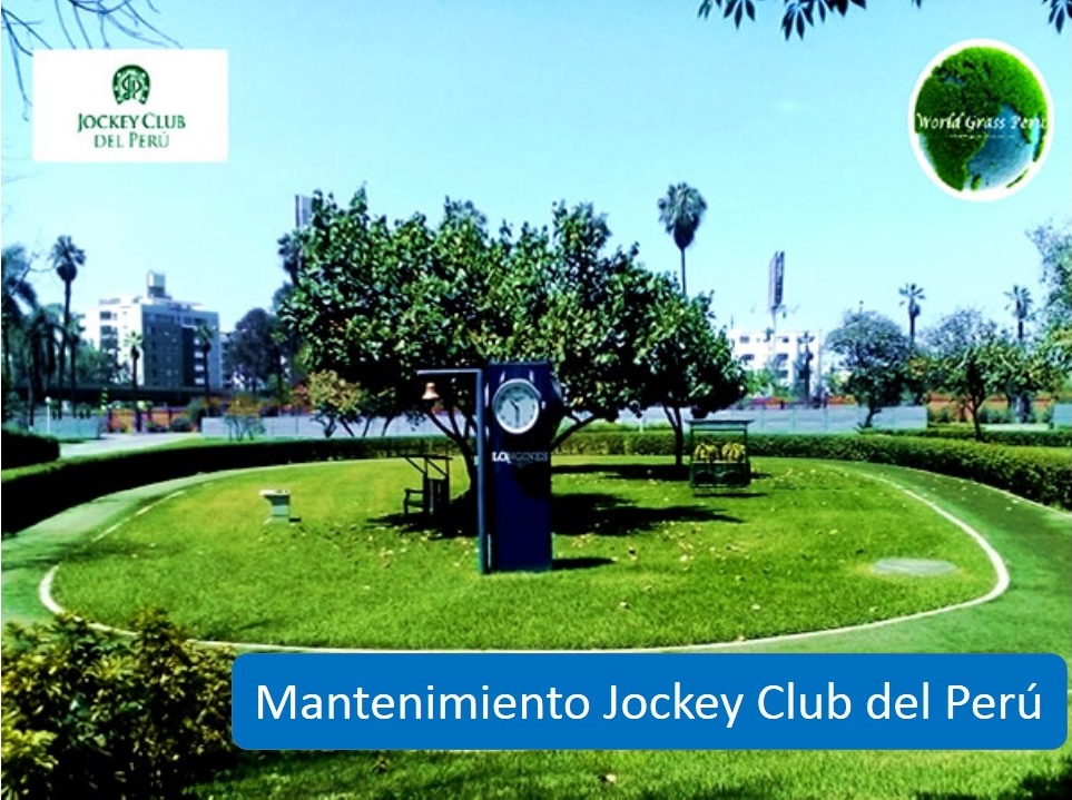 World-Grass-Peru-img-1